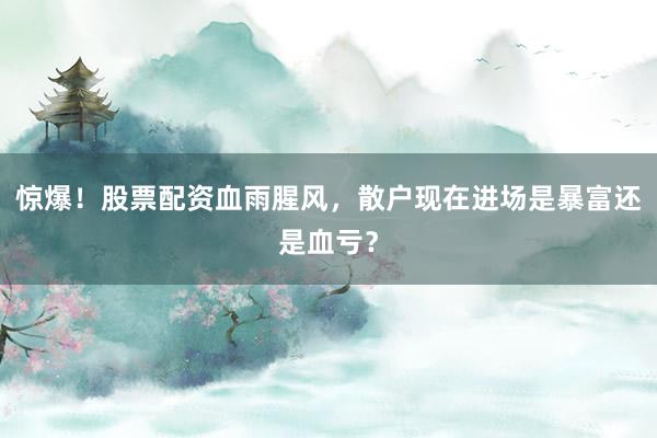 惊爆！股票配资血雨腥风，散户现在进场是暴富还是血亏？