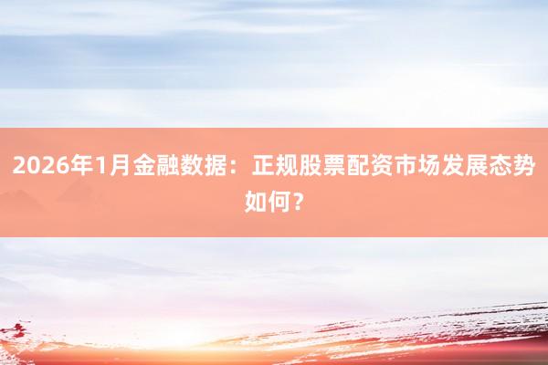 2026年1月金融数据：正规股票配资市场发展态势如何？
