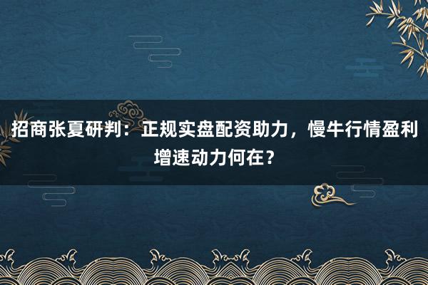 招商张夏研判：正规实盘配资助力，慢牛行情盈利增速动力何在？