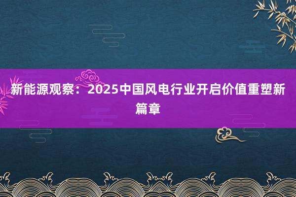 新能源观察：2025中国风电行业开启价值重塑新篇章