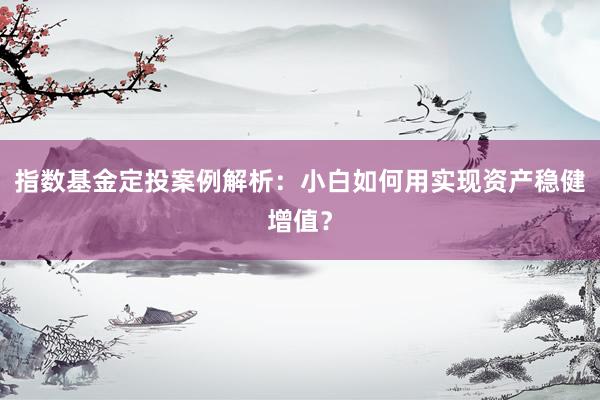 指数基金定投案例解析：小白如何用实现资产稳健增值？
