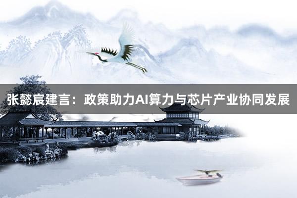 张懿宸建言：政策助力AI算力与芯片产业协同发展