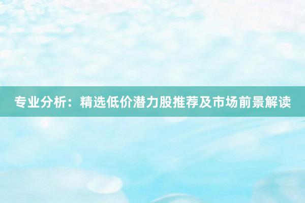 专业分析：精选低价潜力股推荐及市场前景解读