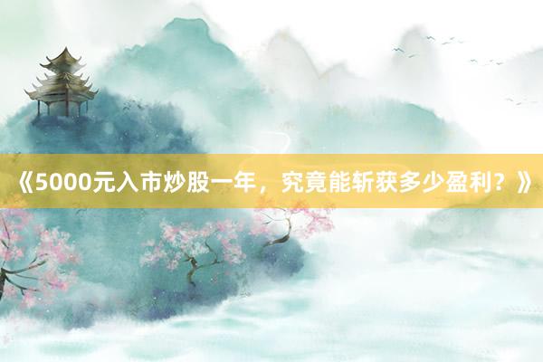 《5000元入市炒股一年，究竟能斩获多少盈利？》