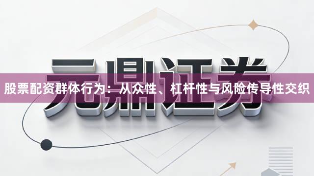 股票配资群体行为：从众性、杠杆性与风险传导性交织