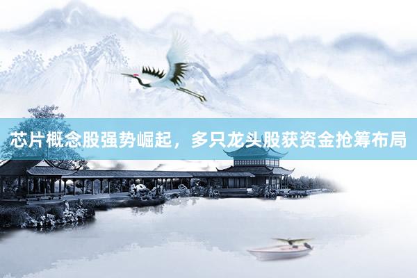芯片概念股强势崛起，多只龙头股获资金抢筹布局