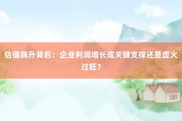 估值飙升背后：企业利润增长成关键支撑还是虚火过旺？