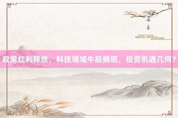 政策红利释放，科技领域牛股频现，投资机遇几何？