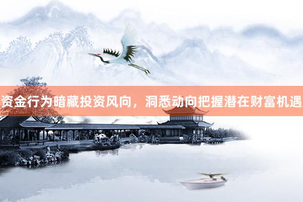 资金行为暗藏投资风向，洞悉动向把握潜在财富机遇