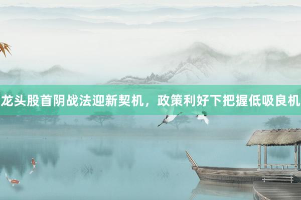龙头股首阴战法迎新契机，政策利好下把握低吸良机
