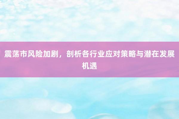 震荡市风险加剧，剖析各行业应对策略与潜在发展机遇