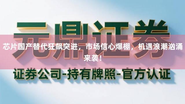 芯片国产替代狂飙突进，市场信心爆棚，机遇浪潮汹涌来袭！