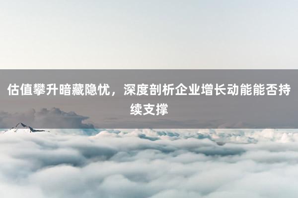 估值攀升暗藏隐忧，深度剖析企业增长动能能否持续支撑