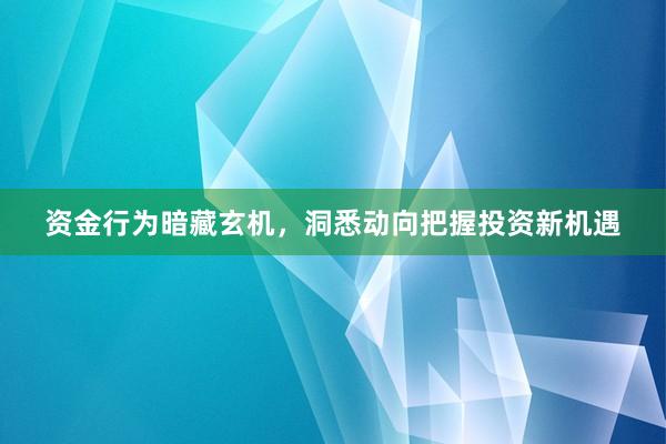 资金行为暗藏玄机，洞悉动向把握投资新机遇
