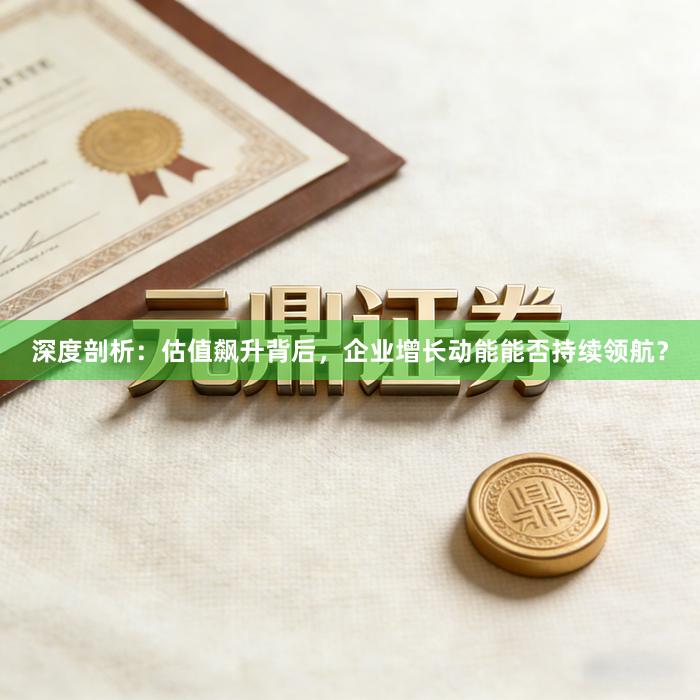 深度剖析：估值飙升背后，企业增长动能能否持续领航？